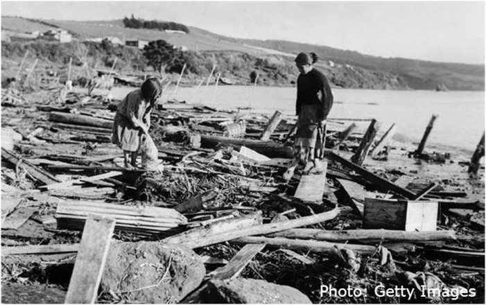 Coastal Damage in Chile from M9.5 Earthquake