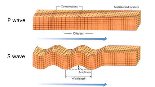 P and S Waves